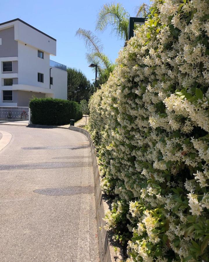 Rezidenca Primavera Apartments ドゥラス エクステリア 写真